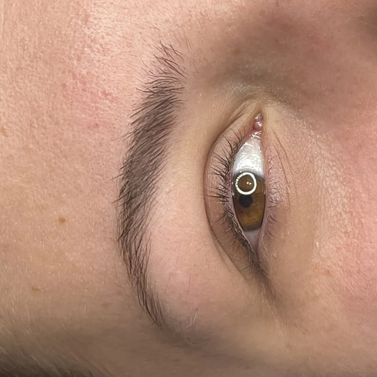 Sourcils après dermopigmentation, réalisation Studio Confidence à Marseille